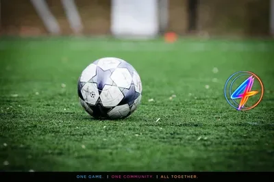 Hearts hire Wouter Vrancken as new head coach