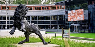 Competition Board Appeals to Mayor to Permit FC Groningen Fans